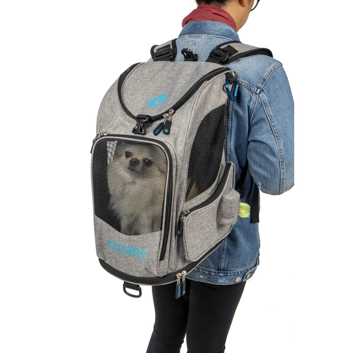 Sherpa Airline Approved 2 In 1 Backpack & Pet Carrier Fetchmypetsmart